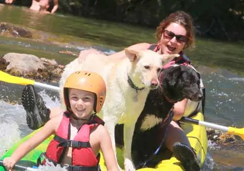 canoe avec chien herault